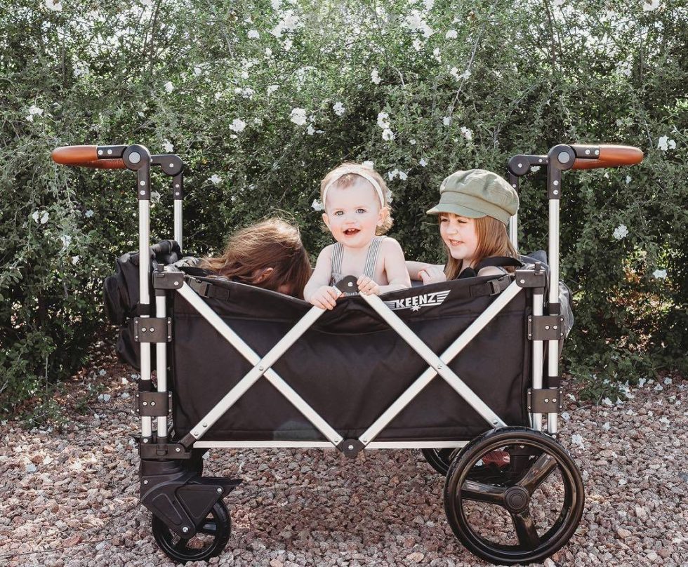 Best Baby Stroller Wagons Double & Single Options New Parent Advice