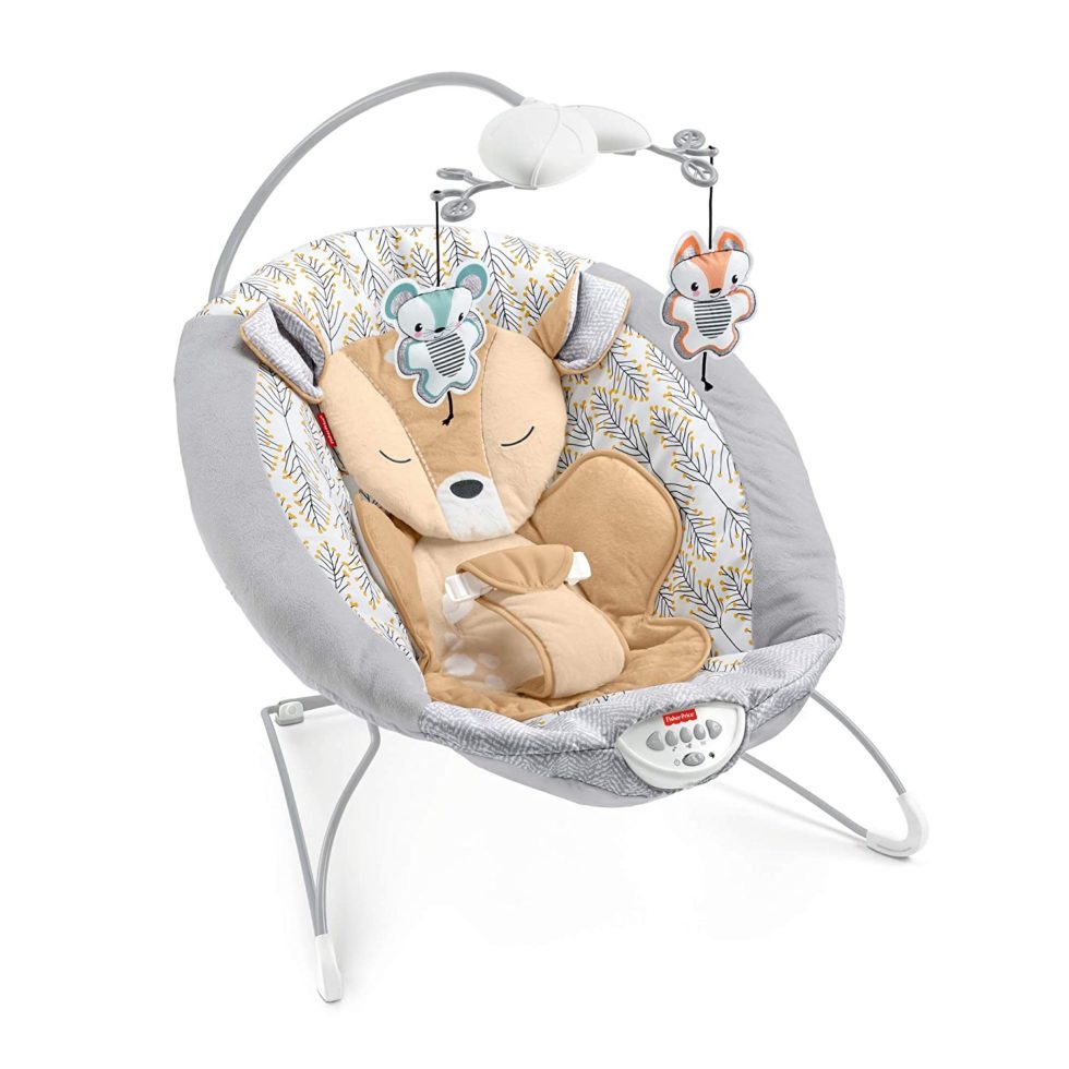 Best Baby Bouncers For Infants Older New Parent Advice   Fisher Price Fawn Meadows Deluxe Bouncer 980x980 